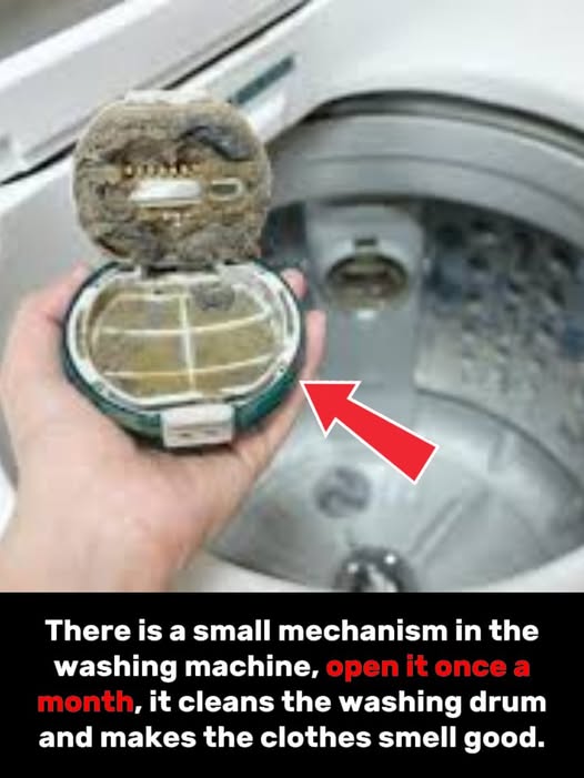 Should be opened once a month